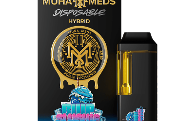 Blue Slushie Muha Meds Disposable