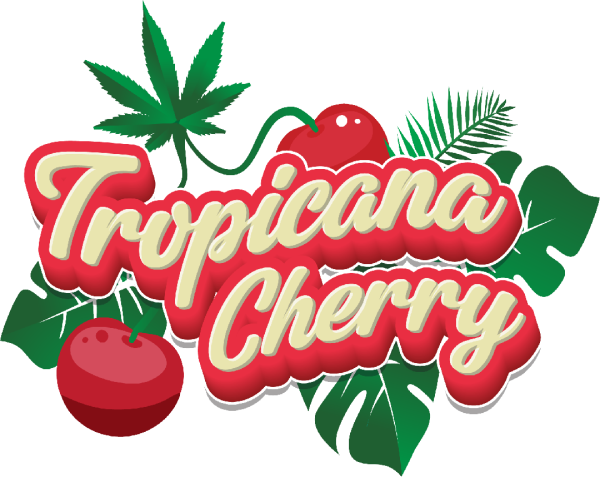TROPICANA CHERRY | SATIVA - Image 2