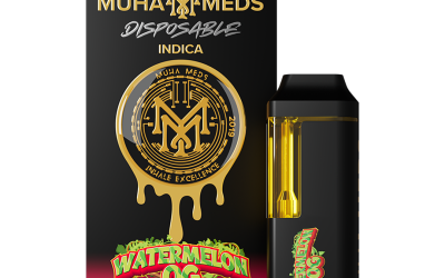 WATERMELON OG Muha Meds Disposable